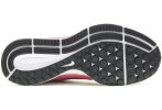 Nike Air Zoom Pegasus 34