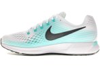 Nike Air Zoom Pegasus 34