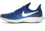 Nike Air Zoom Pegasus 35