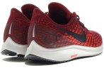 Nike Air Zoom Pegasus 35