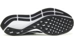 Nike Air Zoom Pegasus 35