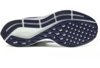Nike Air Zoom Pegasus 35
