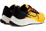 Nike Air Zoom Pegasus 38 Ekiden Herren