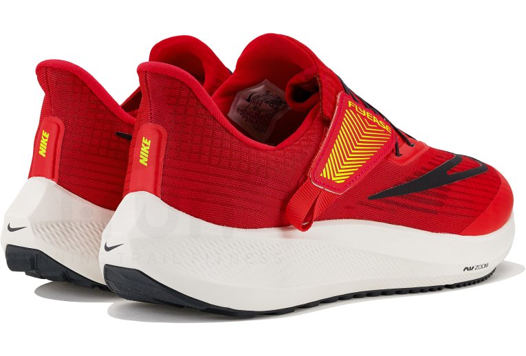 Nike Air Zoom Pegasus 39 FlyEase Herren