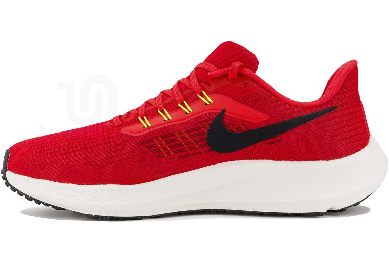 Nike Air Zoom Pegasus 39