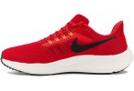 Nike Air Zoom Pegasus 39