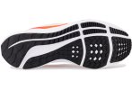 Nike Air Zoom Pegasus 39