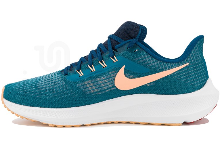 Nike Air Zoom Pegasus 39