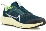 Nike Air Zoom Pegasus 40 Junior