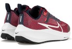Nike Air Zoom Pegasus 40 Junior