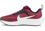 Nike Air Zoom Pegasus 40 Junior