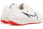 Nike Air Zoom Pegasus 40 Herren