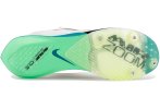 Nike Air Zoom Victory 2