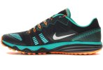 Nike Dual Fusion Trail 2