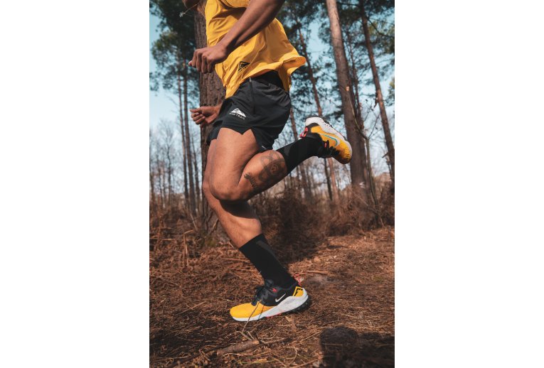 Nike Flex Stride Trail Herren