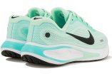 Nike Journey Run