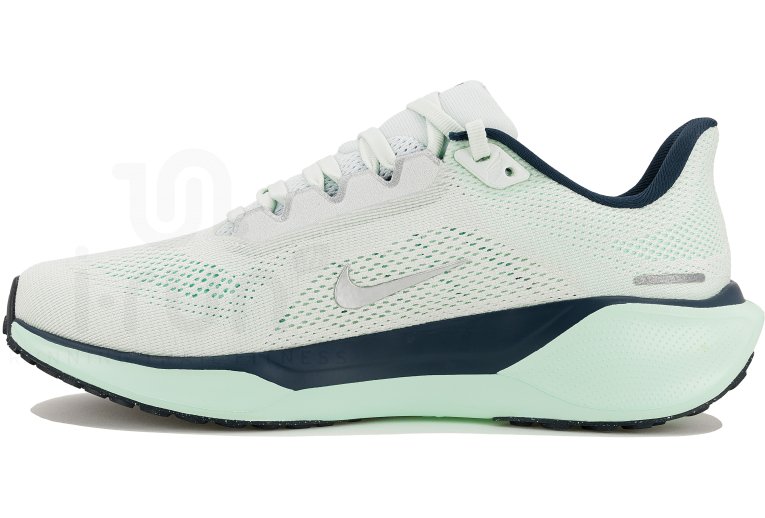 Nike Pegasus 41 Damen