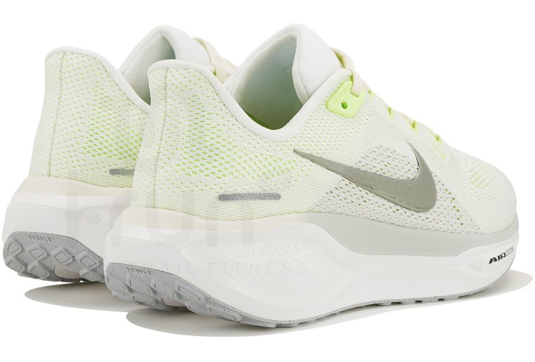 Nike Pegasus 41 Damen