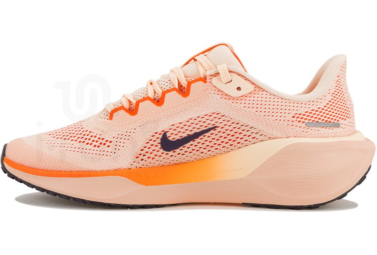 Nike Pegasus 41
