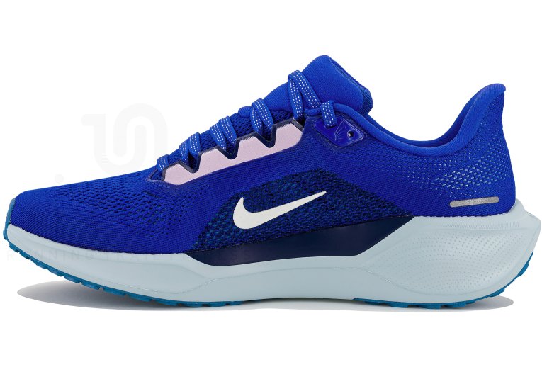 Nike Pegasus 41 CM ?