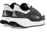 Nike Pegasus 41 Gore-Tex