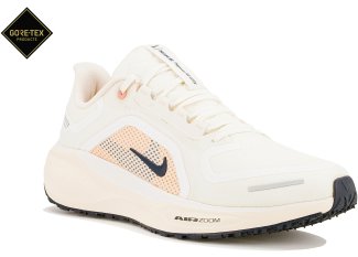 Nike Pegasus 41 Gore-Tex