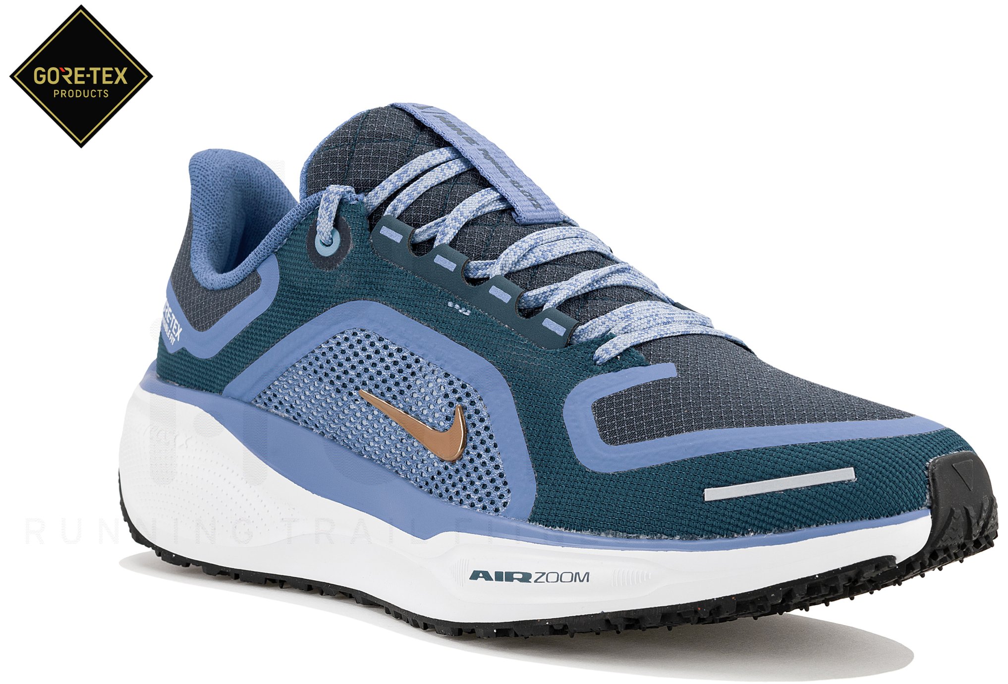 air zoom pegasus gore tex