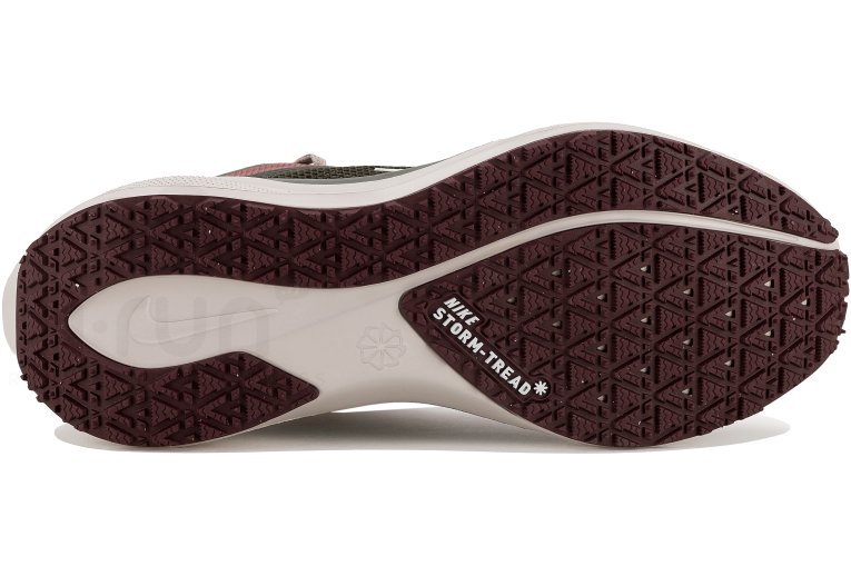 Nike Pegasus 41 Gore-Tex