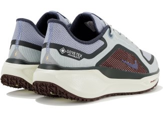 Nike Pegasus 41 Gore-Tex