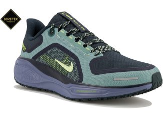 Nike Pegasus 41 Gore-Tex