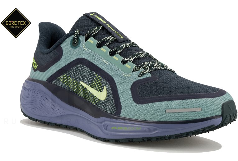 Nike Pegasus 41 Gore-Tex