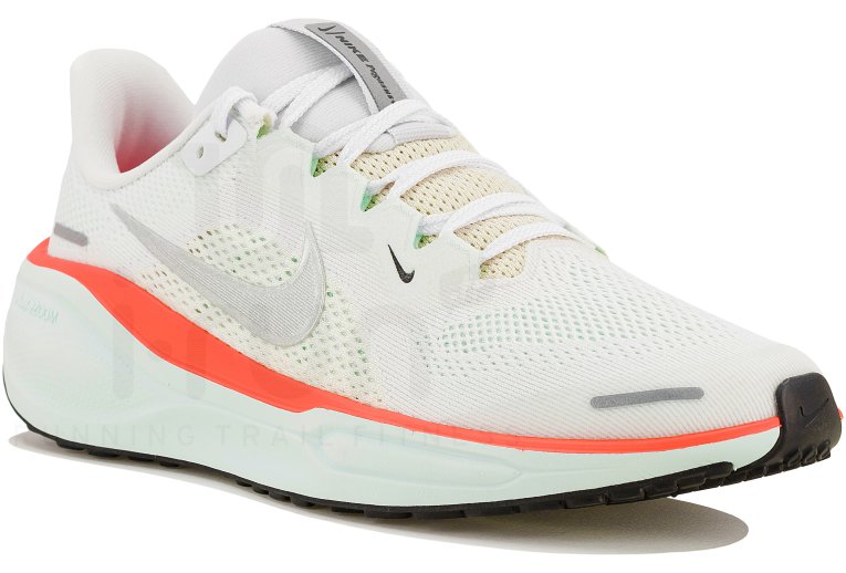 Nike Pegasus 41 Junior