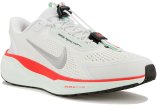 Nike Pegasus EasyOn