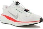 Nike Pegasus EasyOn Herren