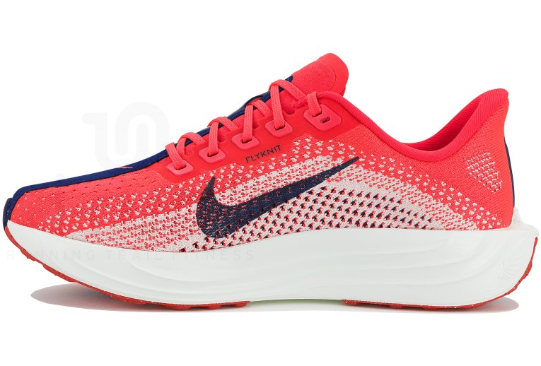 Nike Pegasus Plus Damen