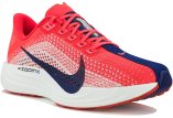 Nike Pegasus Plus