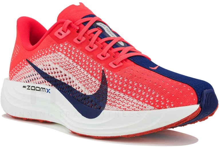 Nike Pegasus Plus Damen