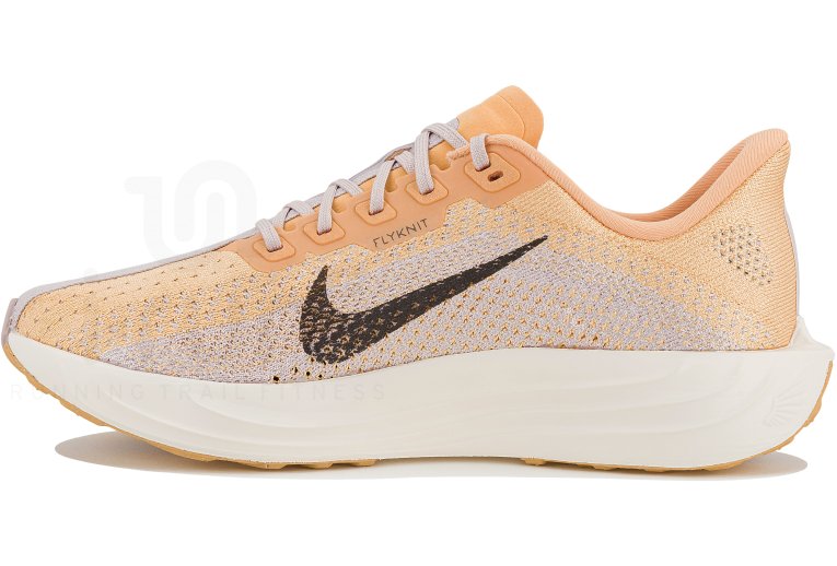 Nike Pegasus Plus