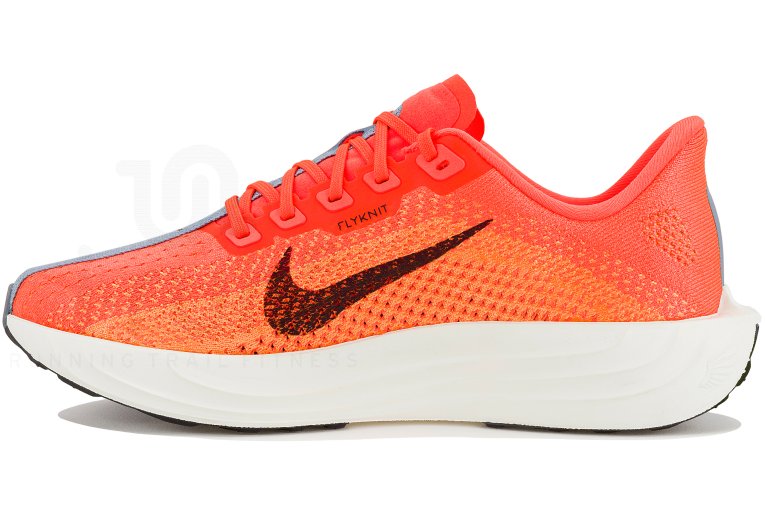 Nike Pegasus Plus W