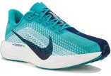 Nike Pegasus Plus