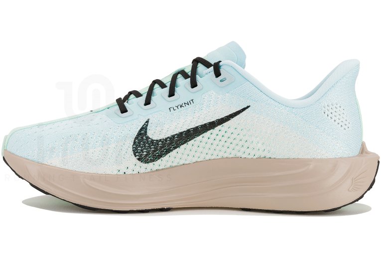 Nike Pegasus Plus Herren