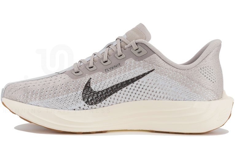 Nike Pegasus Plus Herren