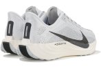 Nike Pegasus Plus Herren