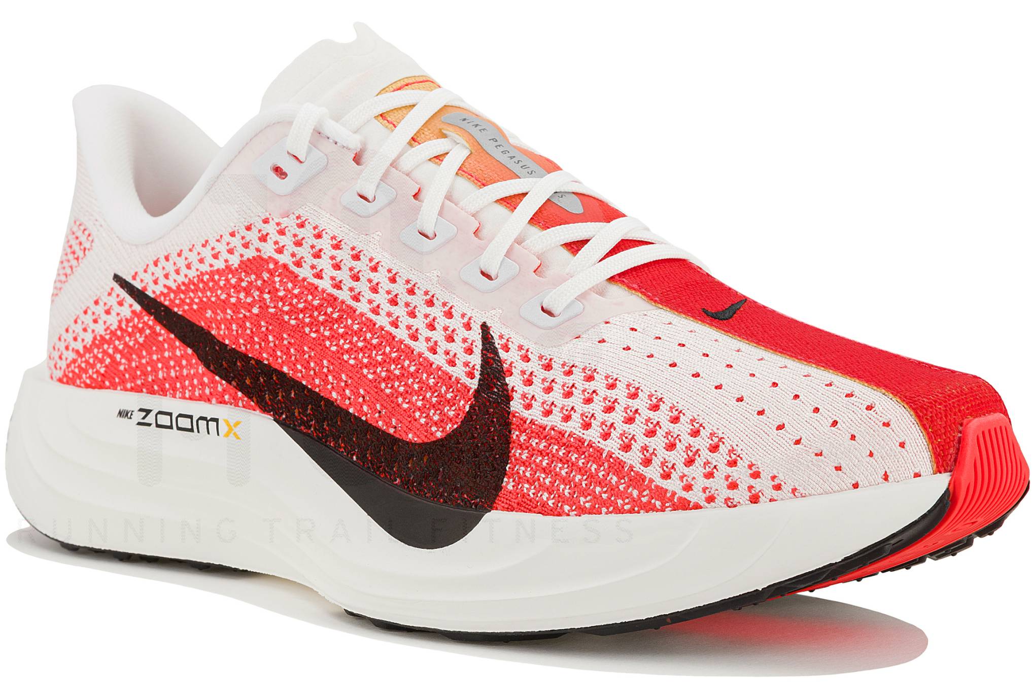 Nike Zoom streak Pegasus plus Nike Pegasus Plus Shoe Review - FueledByLOLZ main image 3