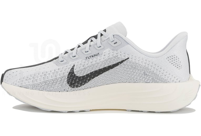 Nike Pegasus Plus Herren