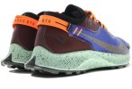 Nike Pegasus Trail 2 Gore-Tex
