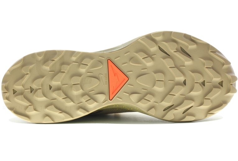 Nike Pegasus Trail 2 Gore-Tex