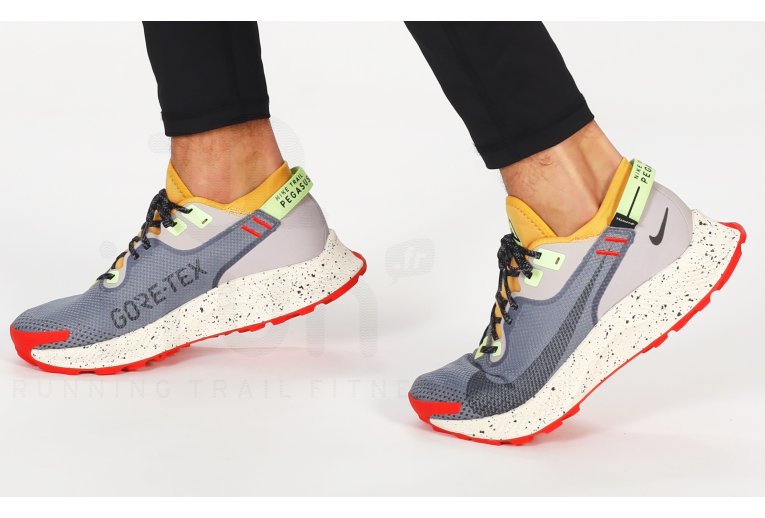Nike Pegasus Trail 2 Gore-Tex