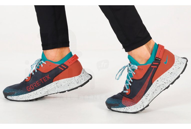Nike Pegasus Trail 2 Gore-Tex