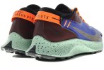 Nike Pegasus Trail 2 Gore-Tex
